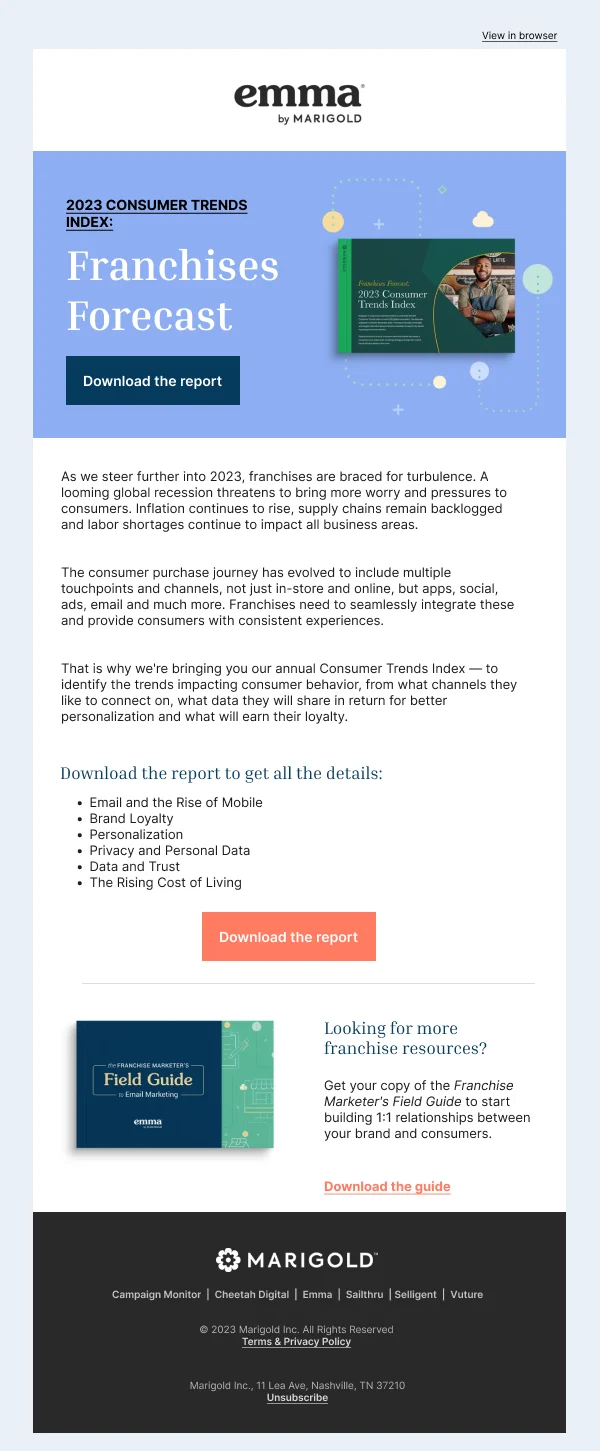 2023 Consumer Trends Index — Product Promotions & Updates email design preview