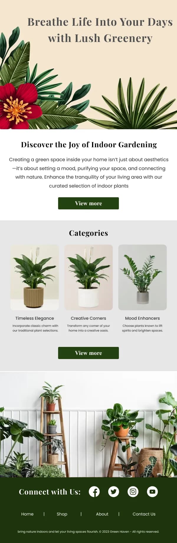 Ecommerce-Indoor Gardening Items — Summer email design preview