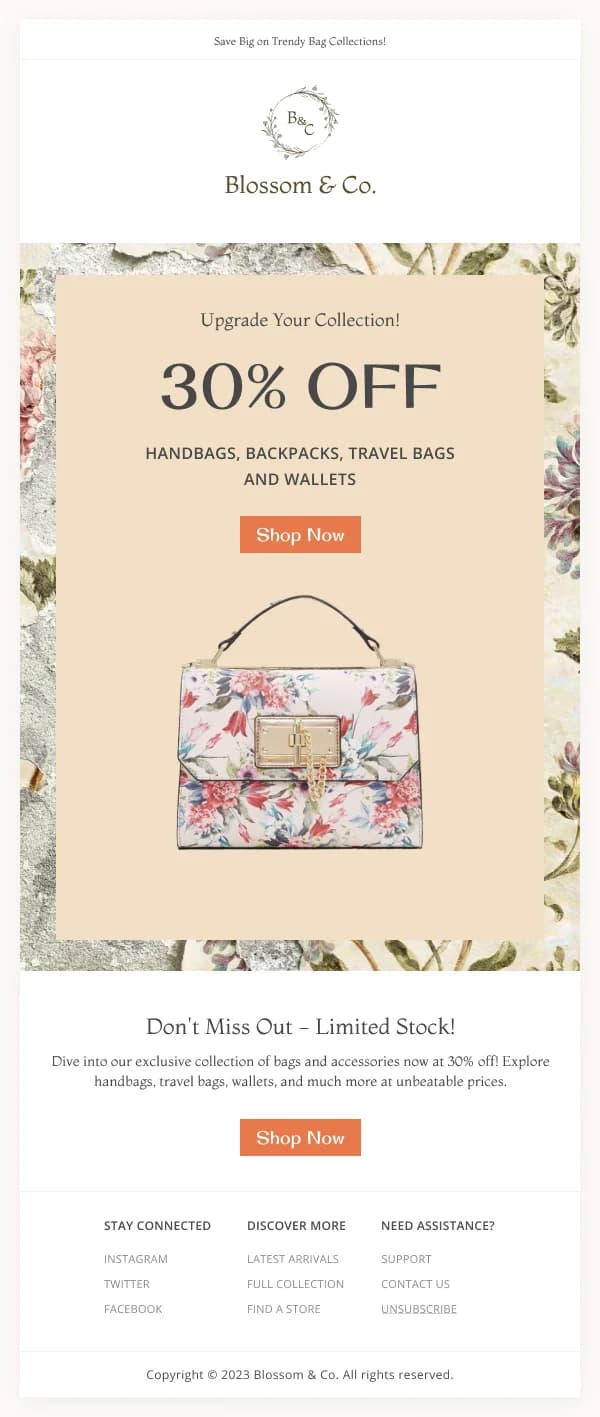 Ecommerce 30% Off on bags — Discounts & Coupons email design preview
