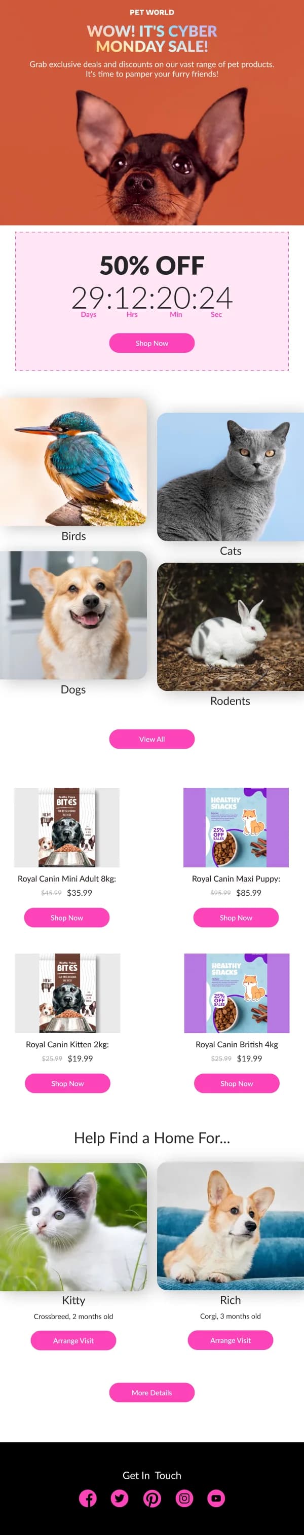 Ecommerce-Pet Products Sale — Cyber Monday email design preview
