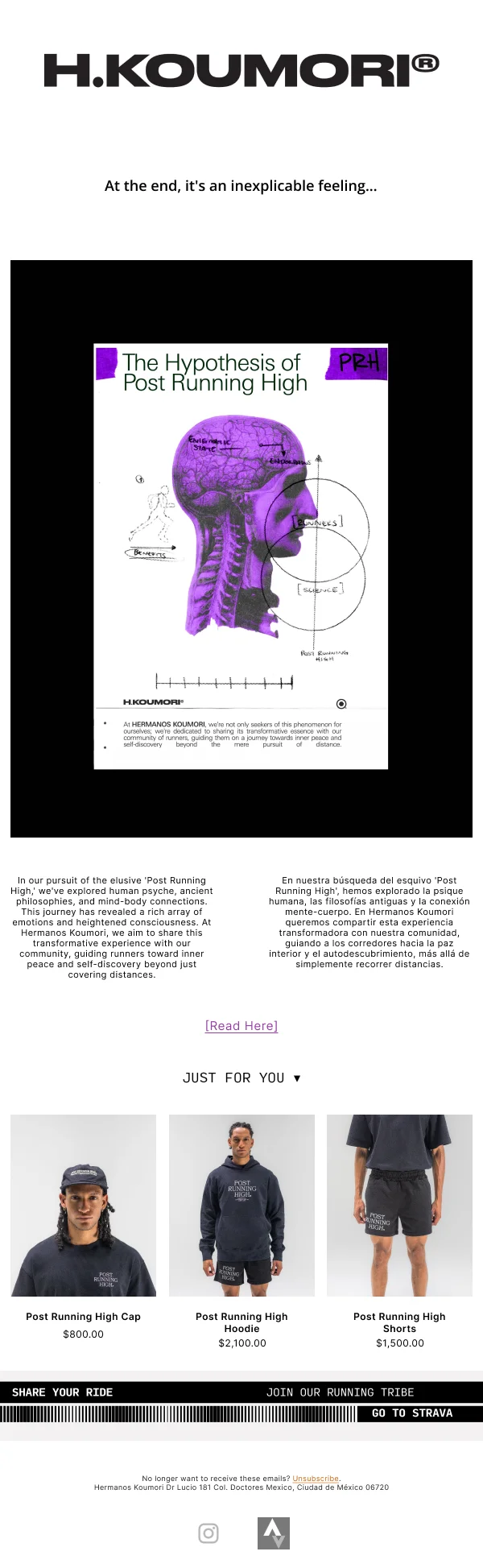 The Hypothesis of Post Running High by Hermanos Koumori — Product Promotions & Updates email design preview