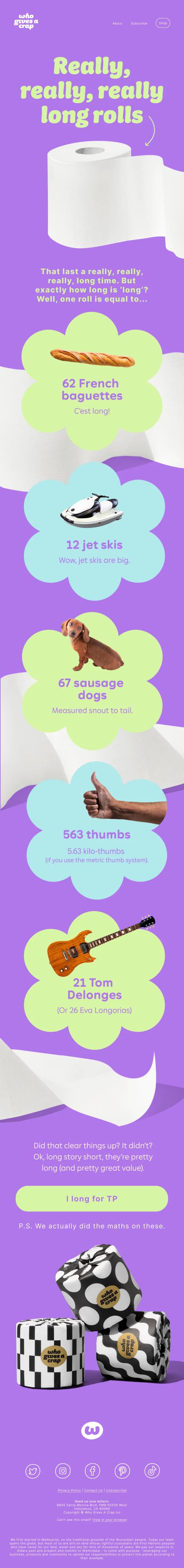 Really Long Toilet Rolls — Product Promotions & Updates email design preview